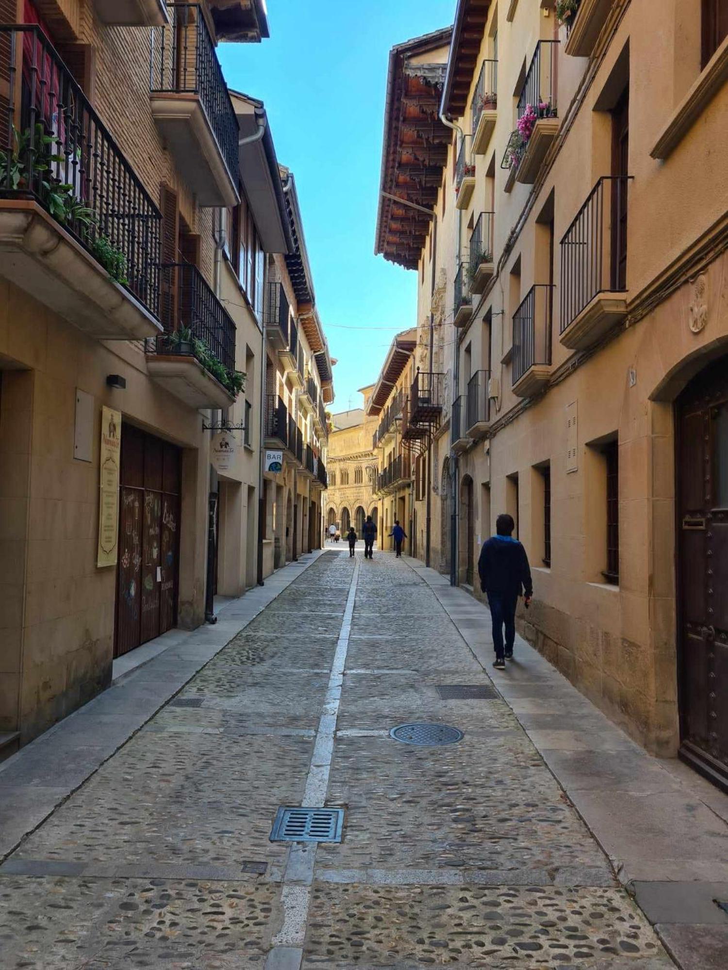 Apartamento Abside De San Juan I エステーリャ エクステリア 写真
